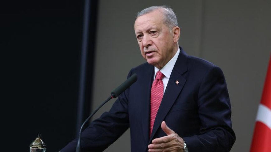 Erdoğan'dan Guterres'e yanıt: BM Güvenlik Konseyi'nin yapısının kökten değiştirilmesi gerekmektedir
